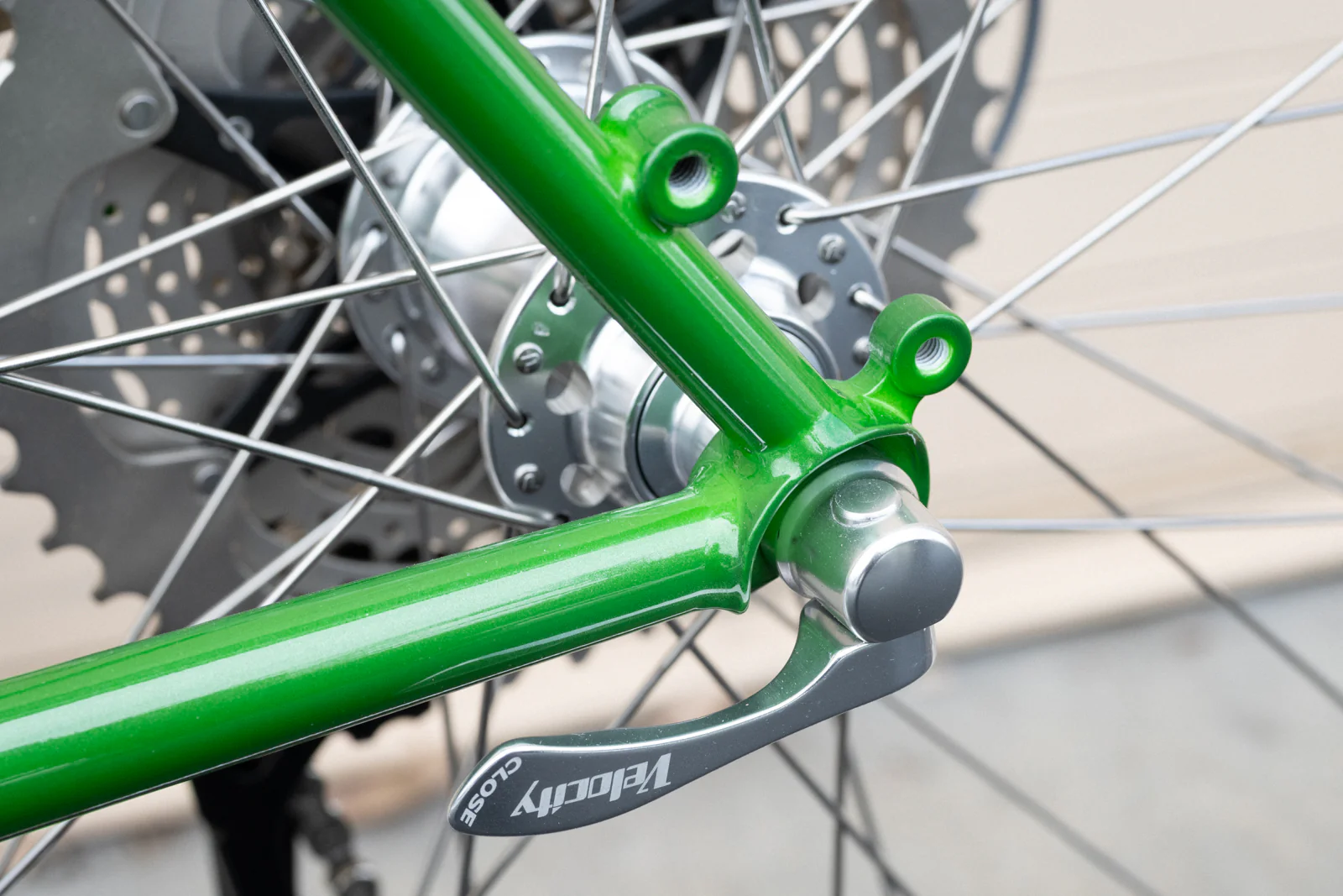 Frame - Appaloosa 2026 - Image 17