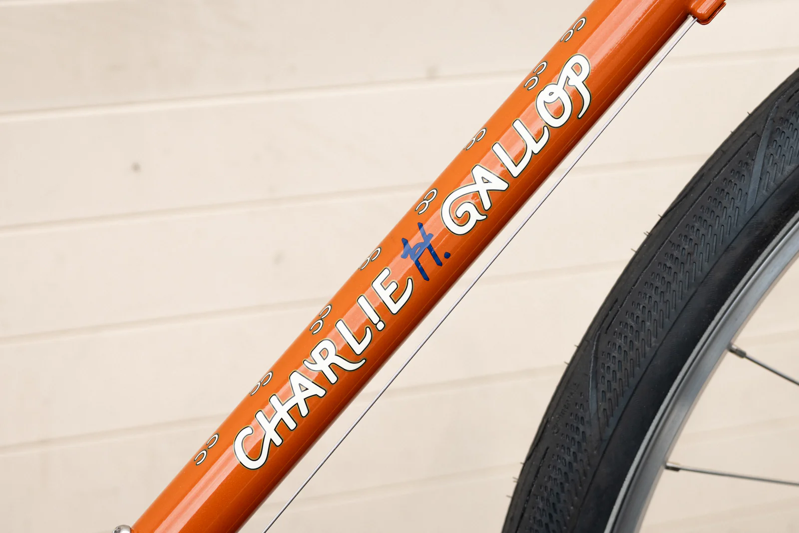 Frame - Charlie Gallop 2025 - Image 12