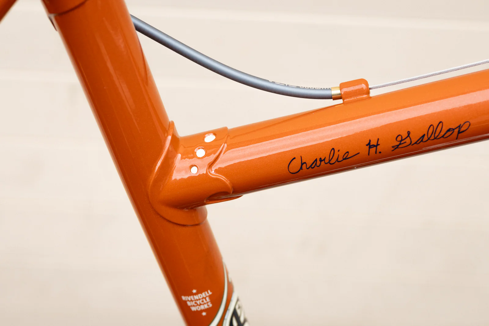 Frame - Charlie Gallop 2025 - Image 14