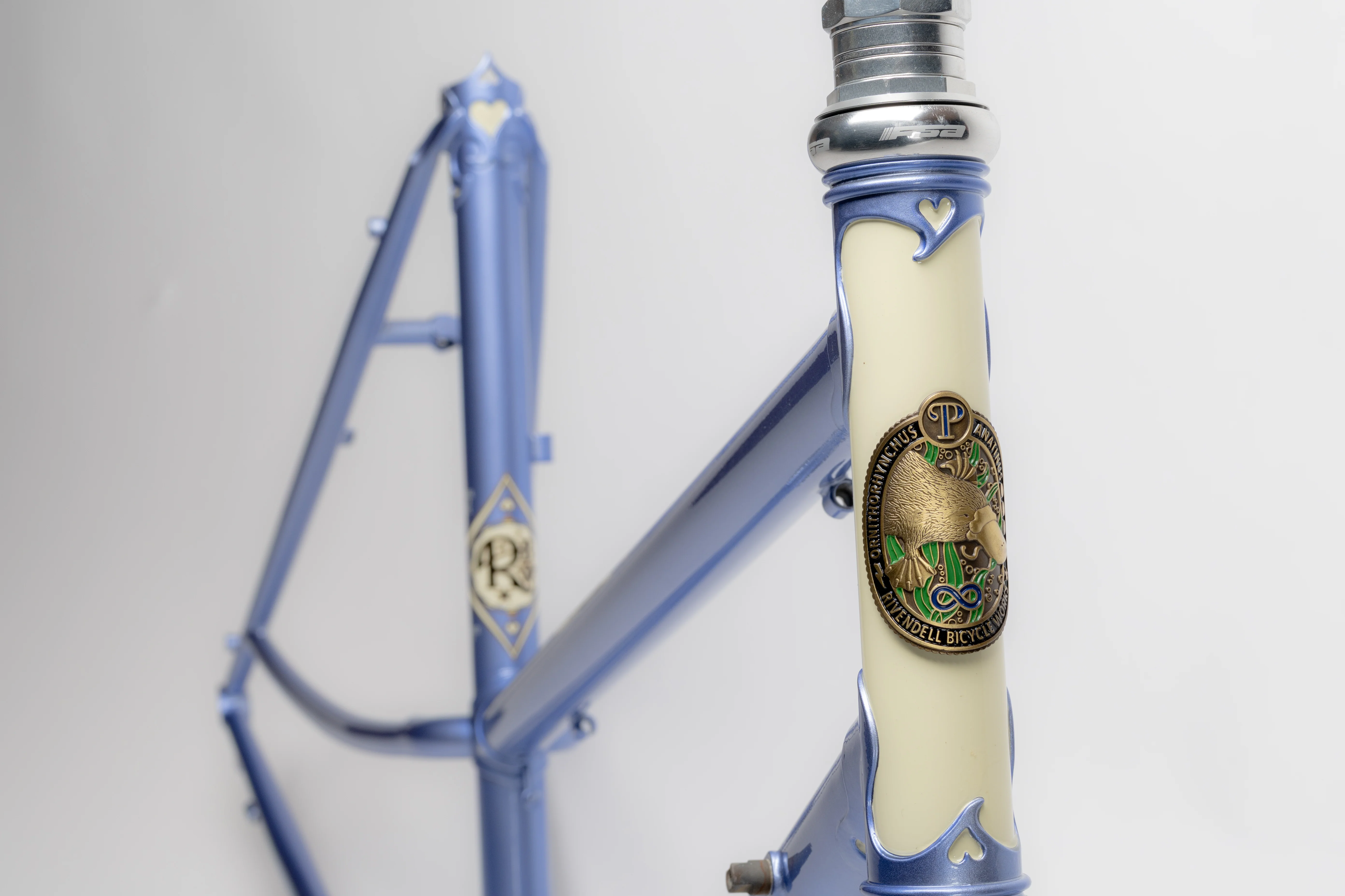Platypus Complete Bike - 2025 - Image 15