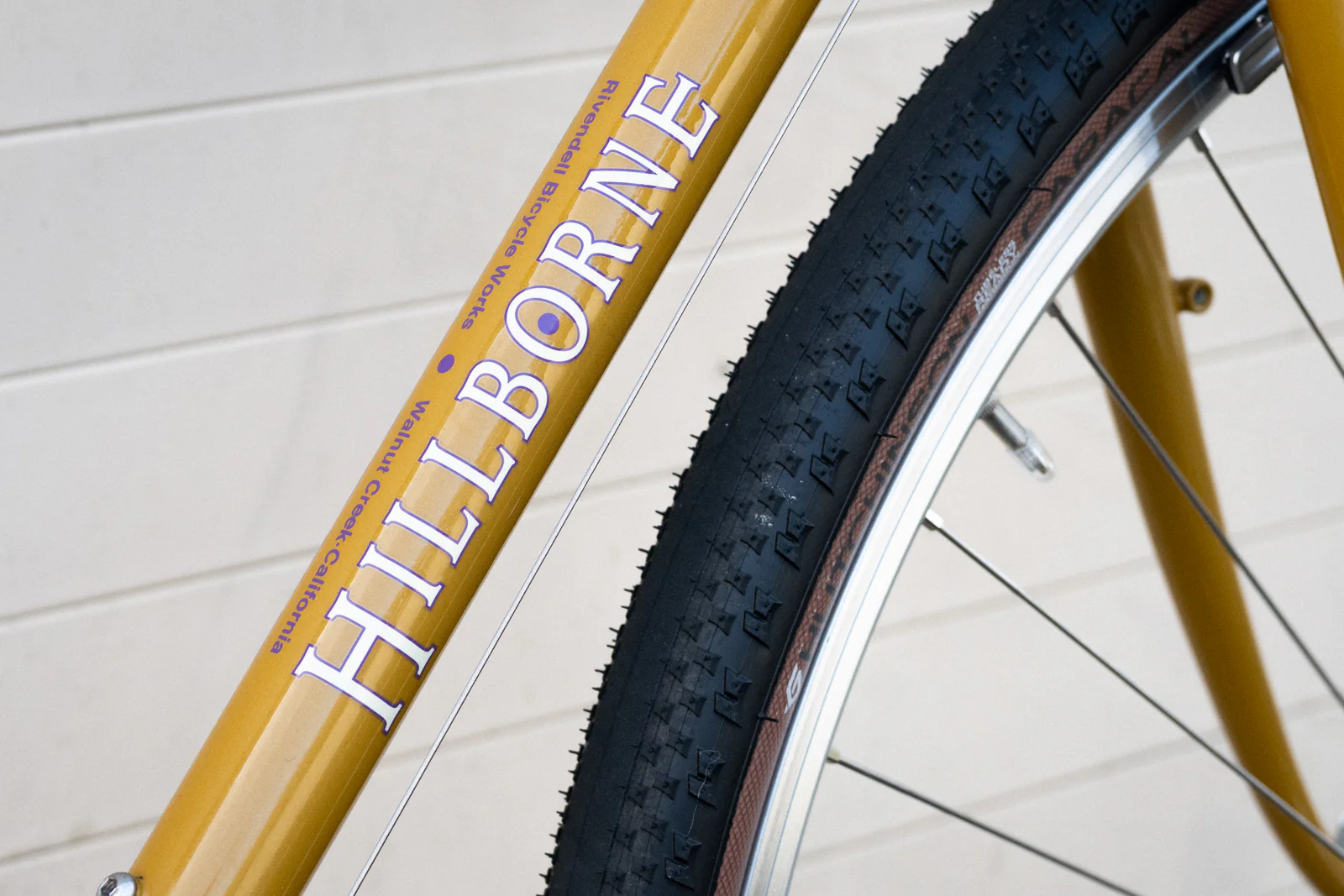 Frame - Sam Hillborne 2025 - Image 21